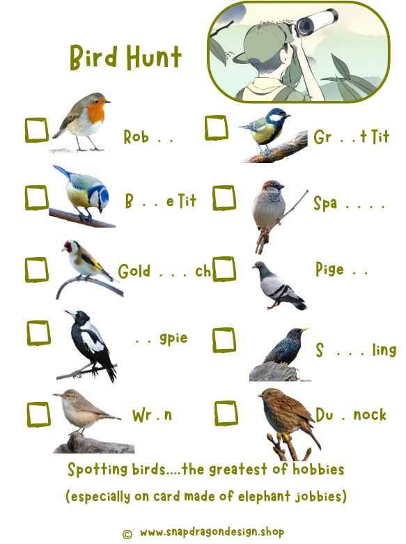 Bird Hunt Activity Sheet on Elephant Poo Paper