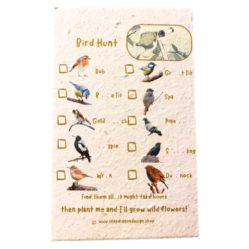 Bird Hunt Activity Sheet