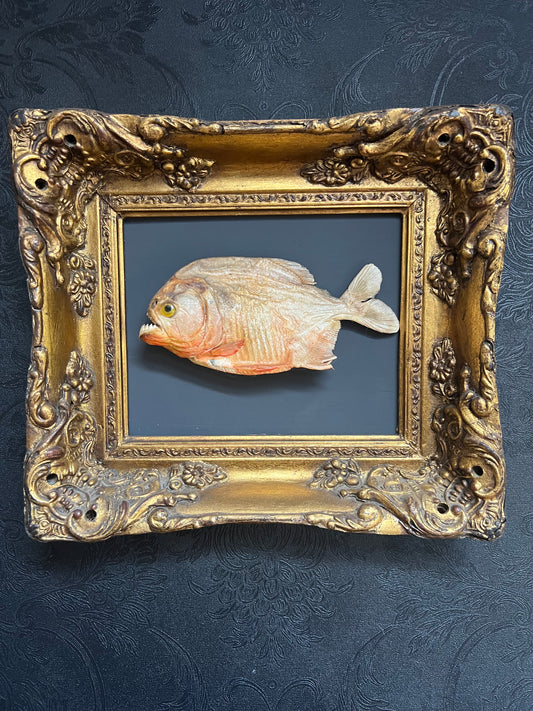 Framed Piranha